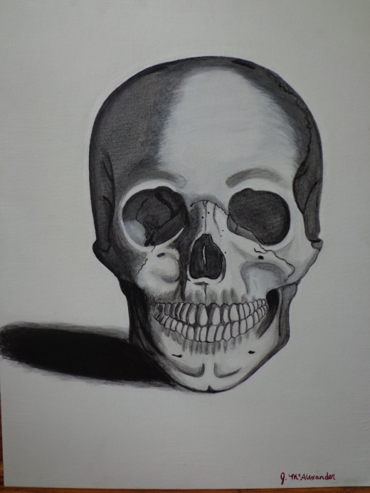 Watercolor Skull
